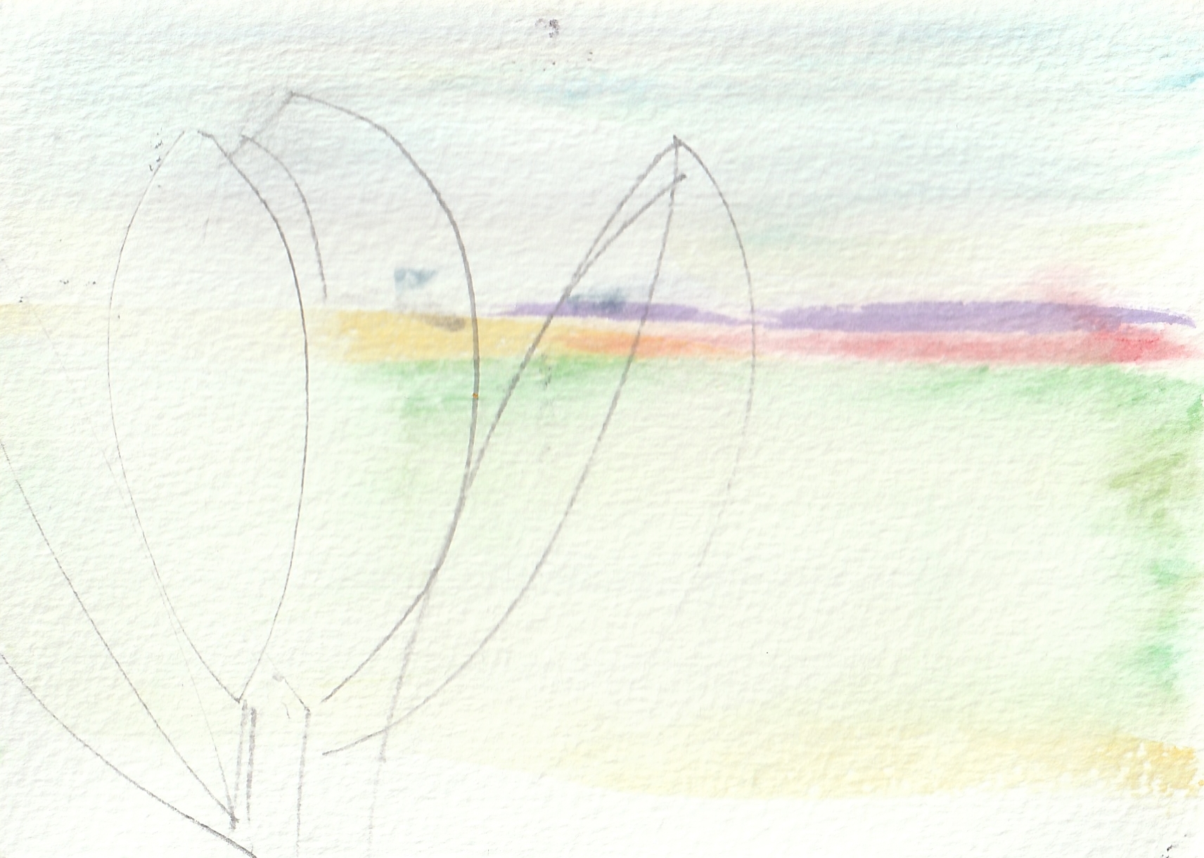 Bulb Fields VI